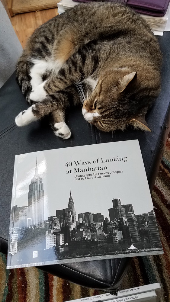 proof copy of new book with cat asleep