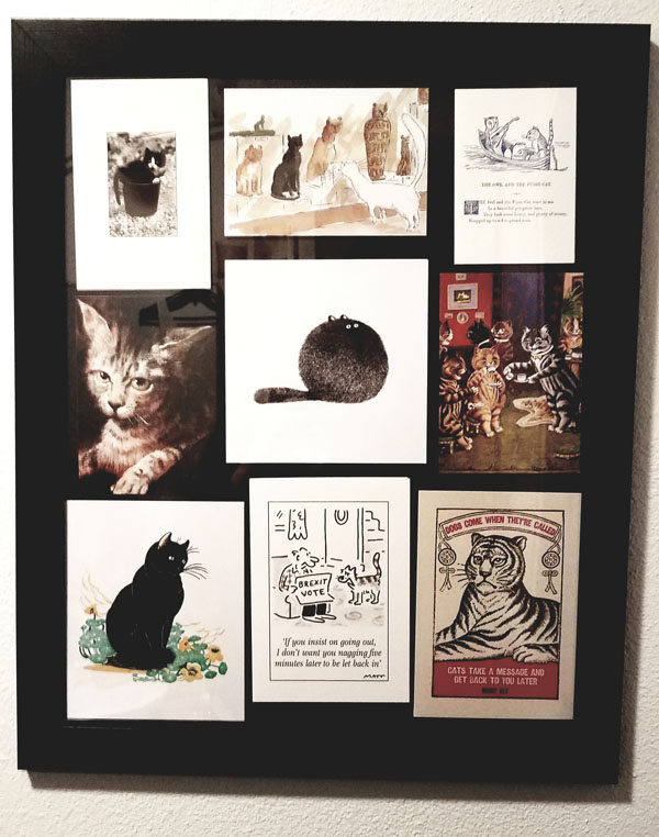a picture frame with nine cards featuring cats