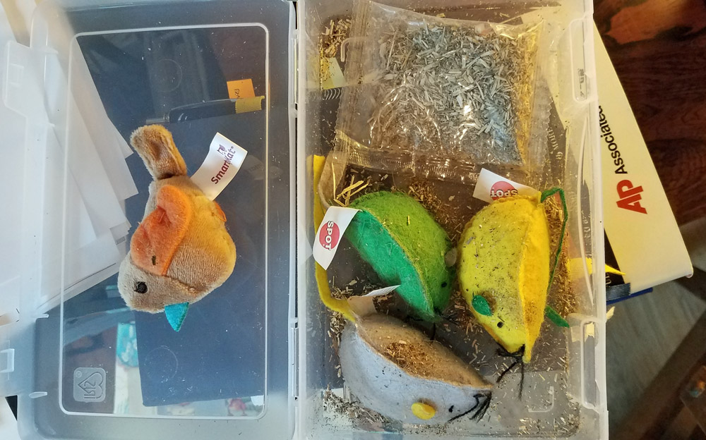 catnip mice in a box