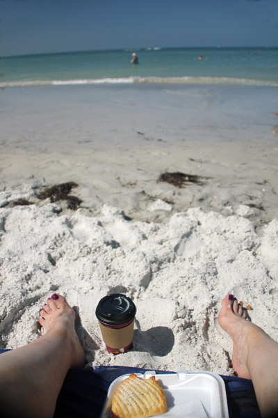 sandy beach in Tampa, Florida